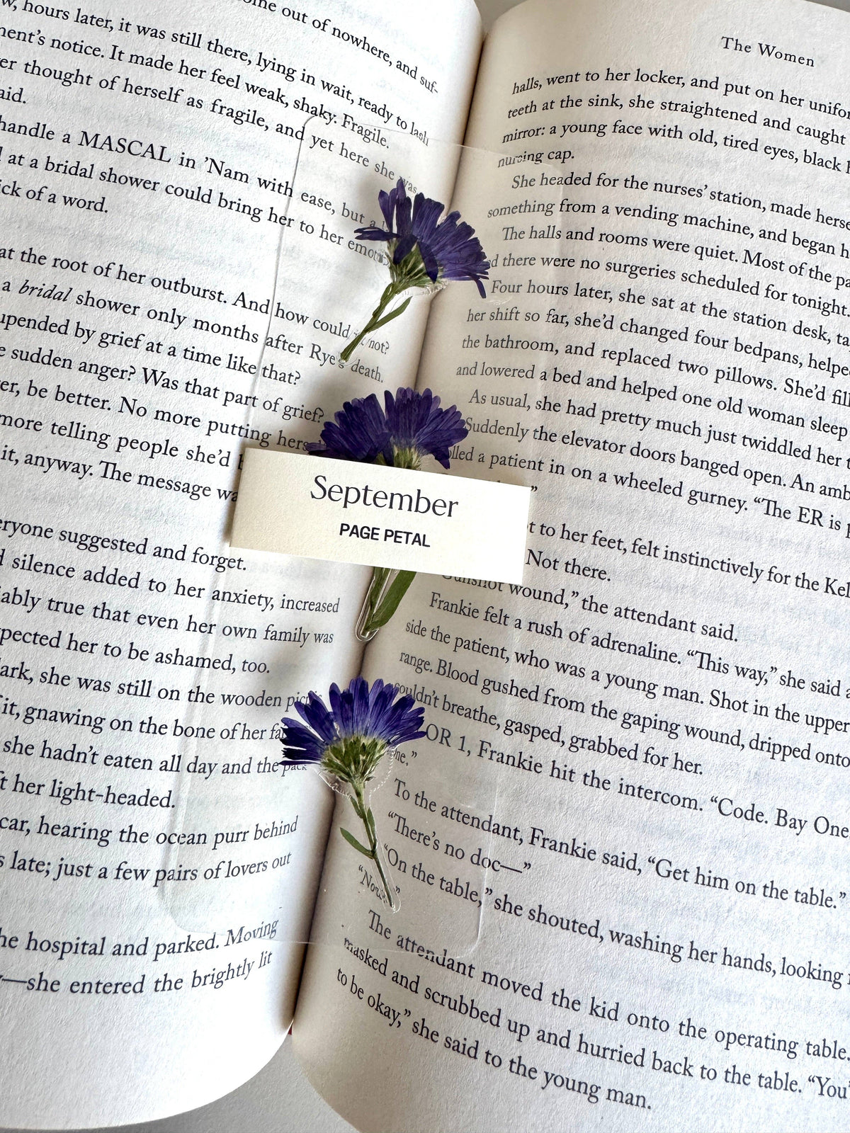 September Aster Bookmark | Birth Month Flower Gift
