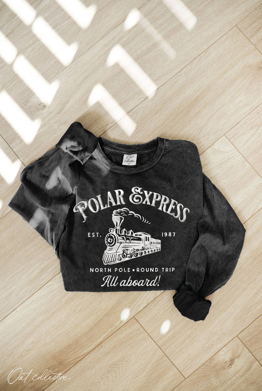 POLAR EXPRESS Mineral Washed Long Sleeve Graphic Top