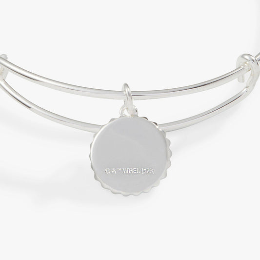 Harry Potter™ Ravenclaw House Charm Bangle