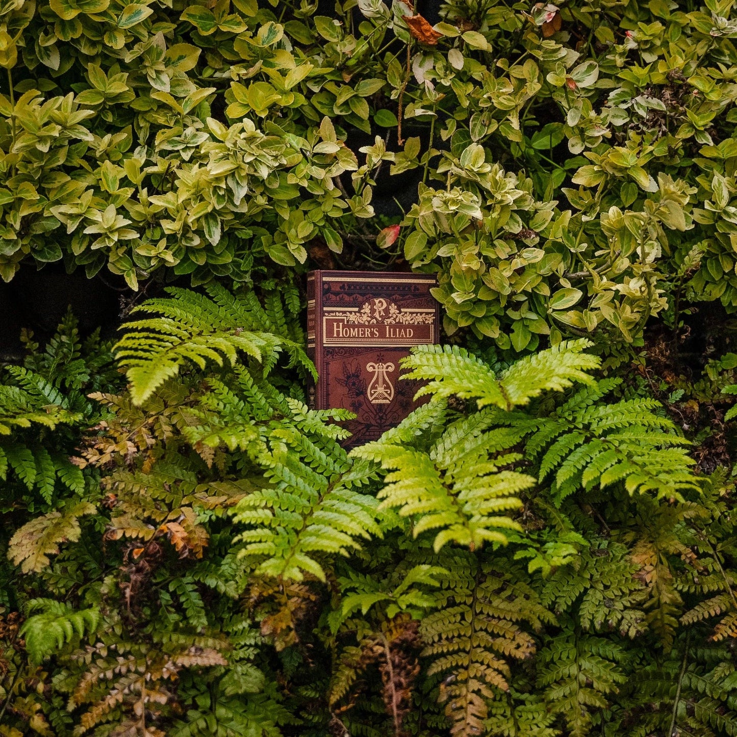 'Iliad' by Homer 8th Century BC Passport/Notebook Wallet