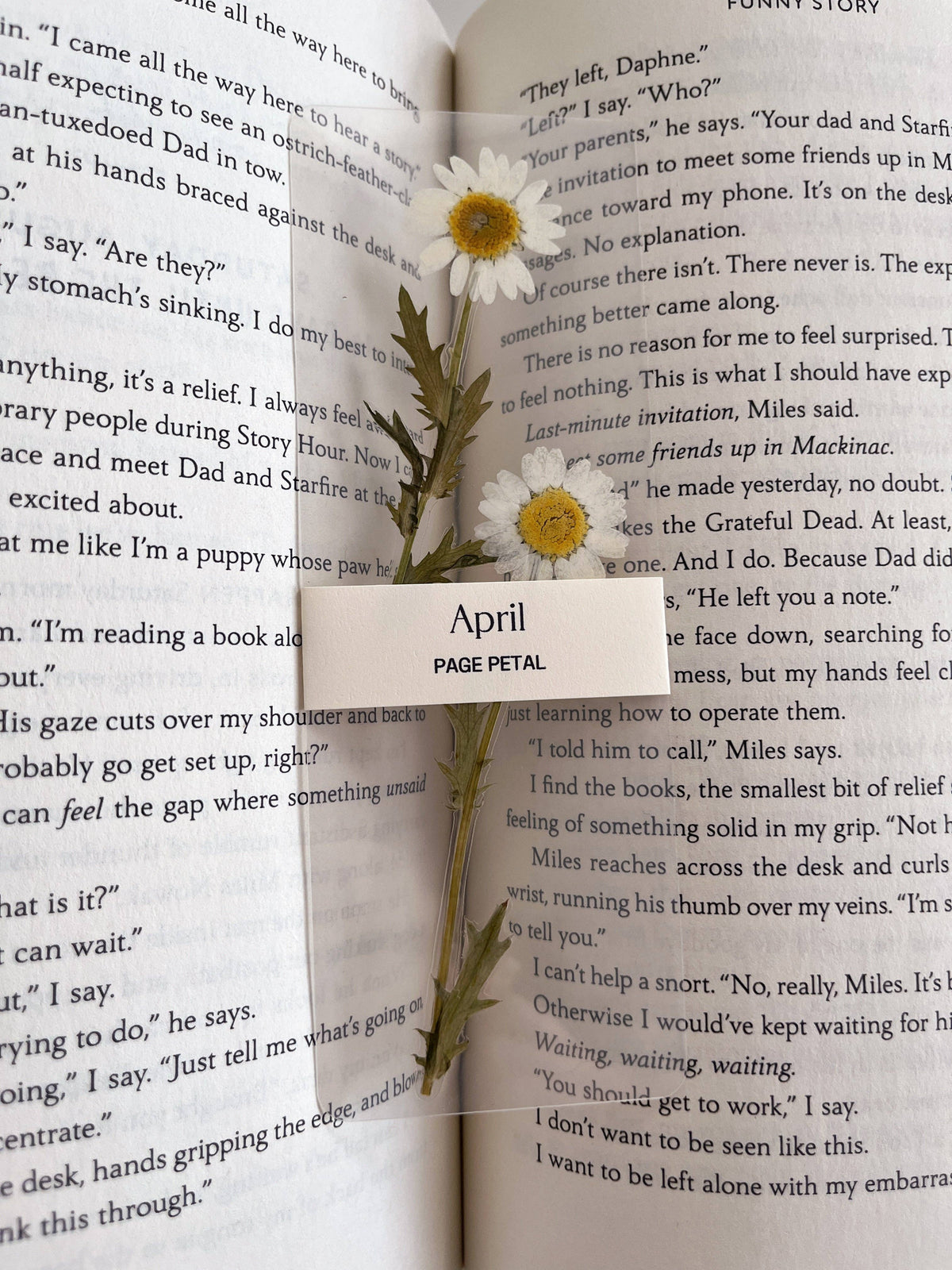 April Daisy Bookmark | Birth Month Flower Gift