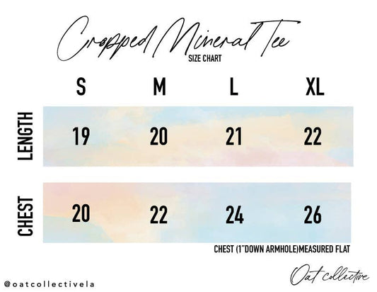 BOOK LOVER Cropped Mineral Graphic Top