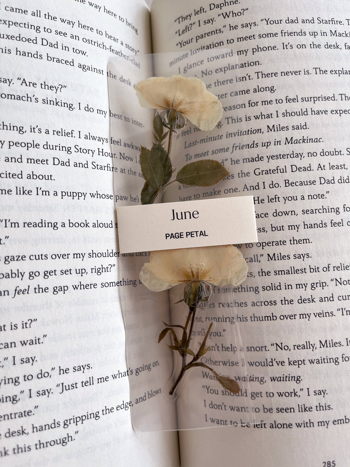 June Rose Bookmark | Birth Month Flower Gift