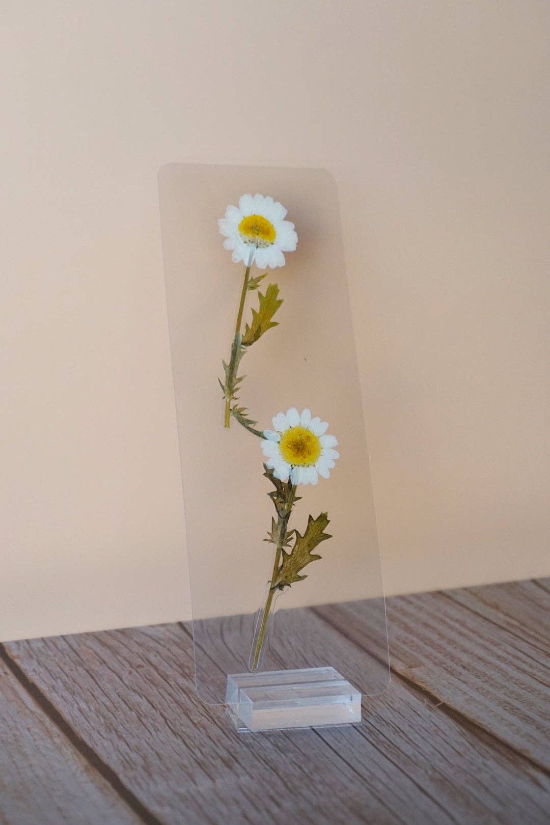 April Daisy Bookmark | Birth Month Flower Gift