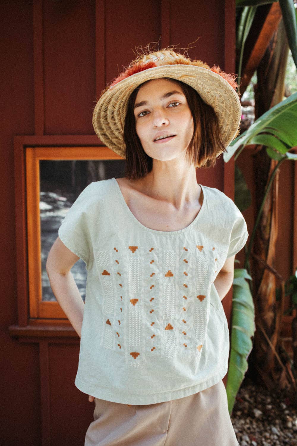The Alba Crop