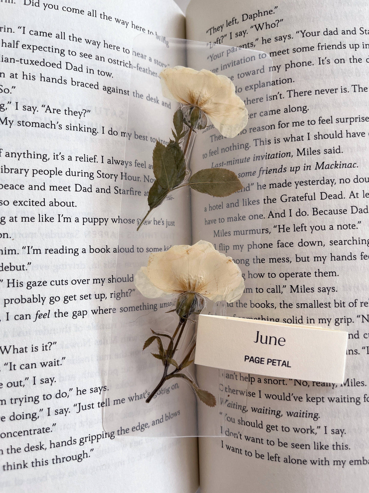 June Rose Bookmark | Birth Month Flower Gift
