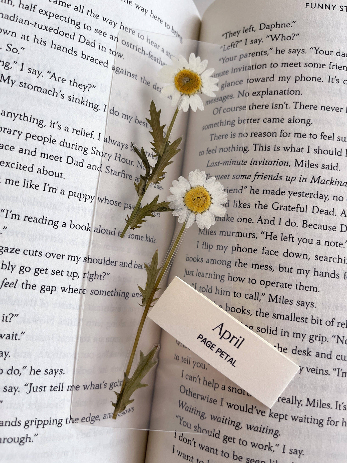 April Daisy Bookmark | Birth Month Flower Gift