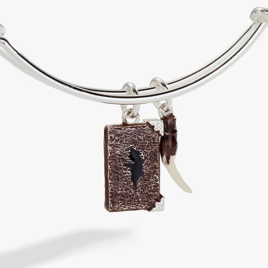 Harry Potter™ Diary and Basilisk Fang Bangle