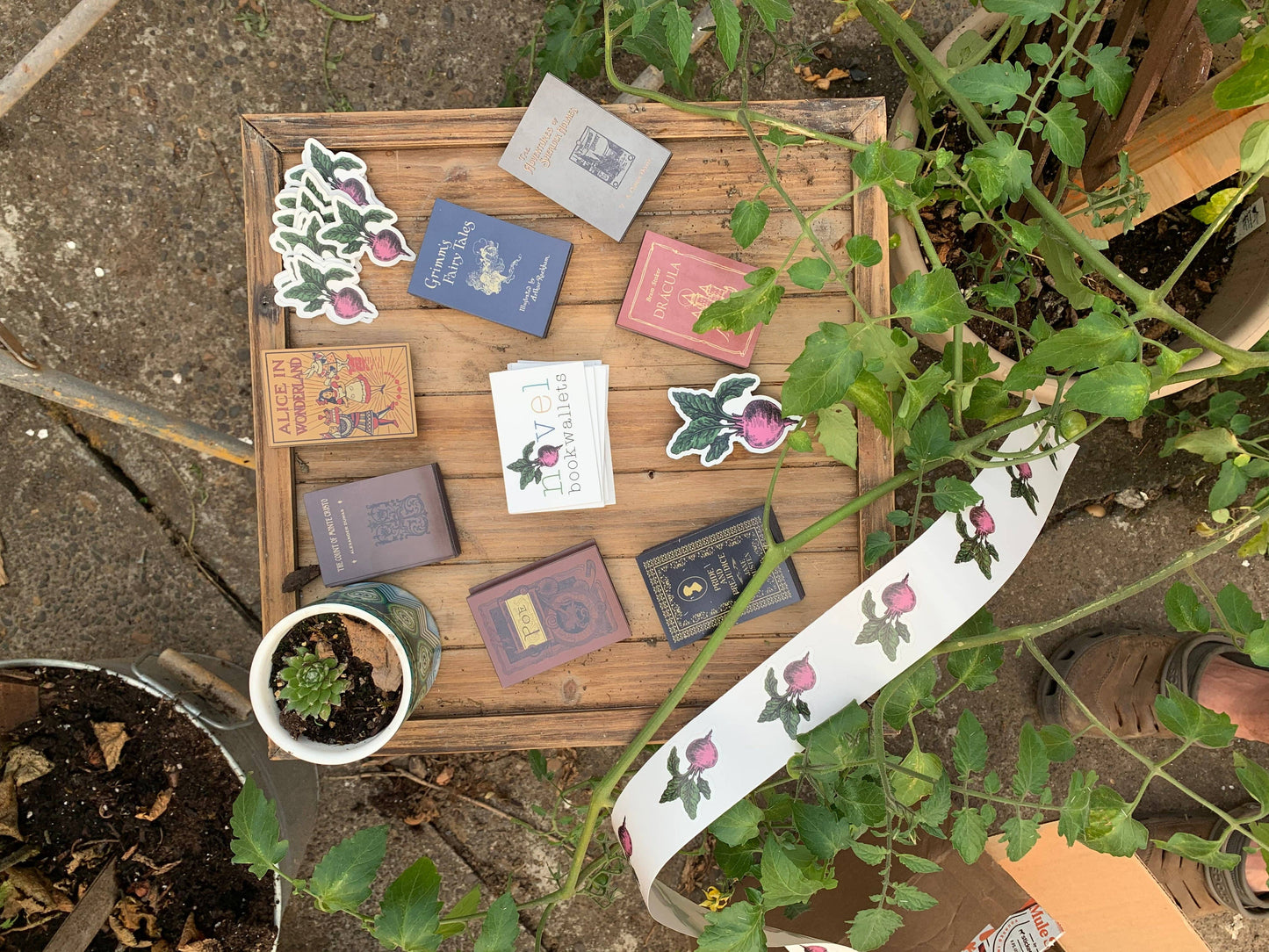 Book Magnets