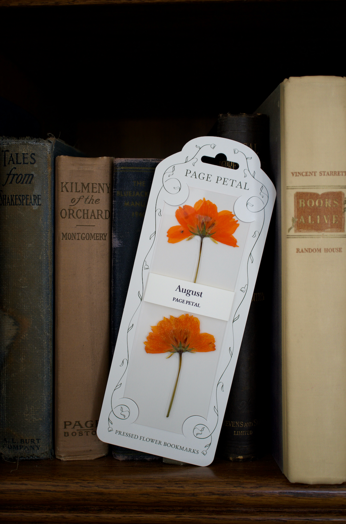 August Poppy Bookmark | Birth Month Flower Gift