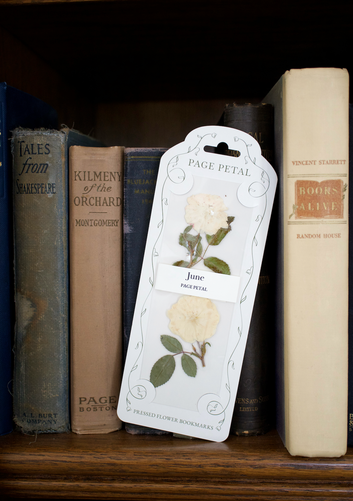June Rose Bookmark | Birth Month Flower Gift