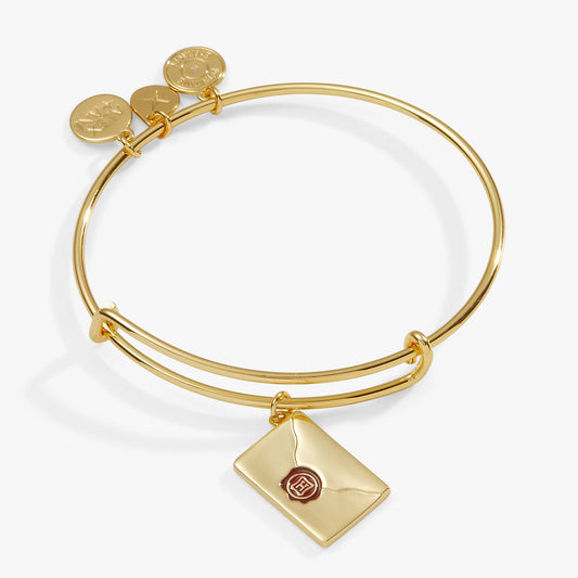 Harry Potter™ Acceptance Letter Charm Bangle: Gold
