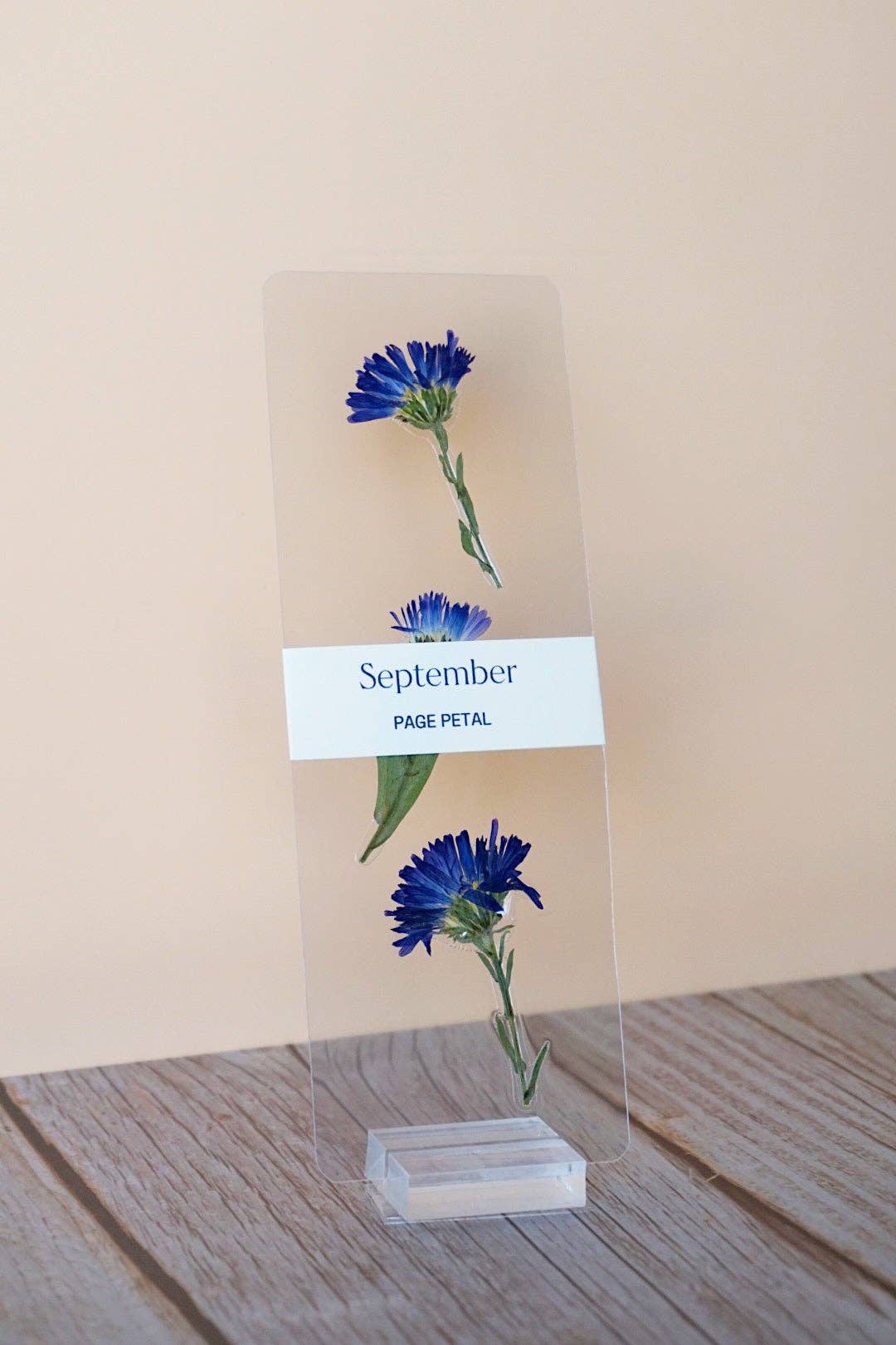 September Aster Bookmark | Birth Month Flower Gift