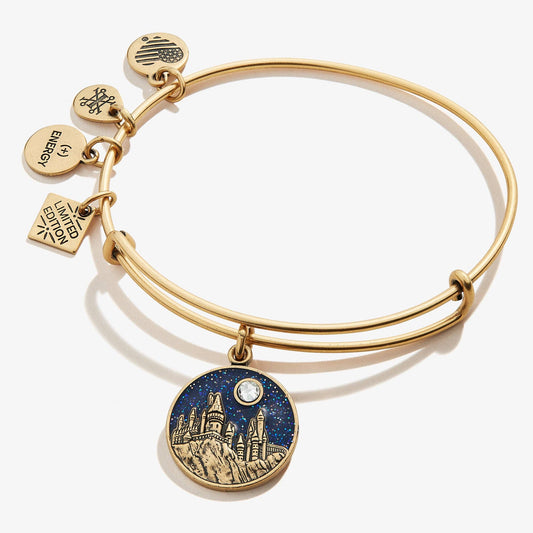 Harry Potter™ Hogwarts™ Castle Charm Bangle: Rafaelian Gold
