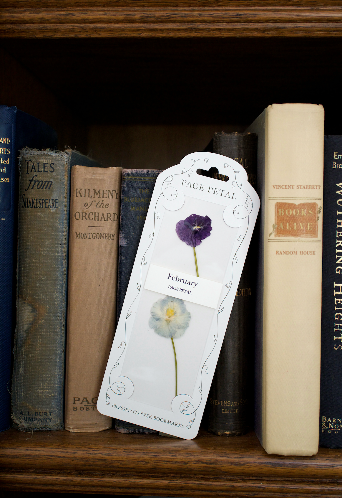 February Violet Bookmark | Birth Month Flower Gift