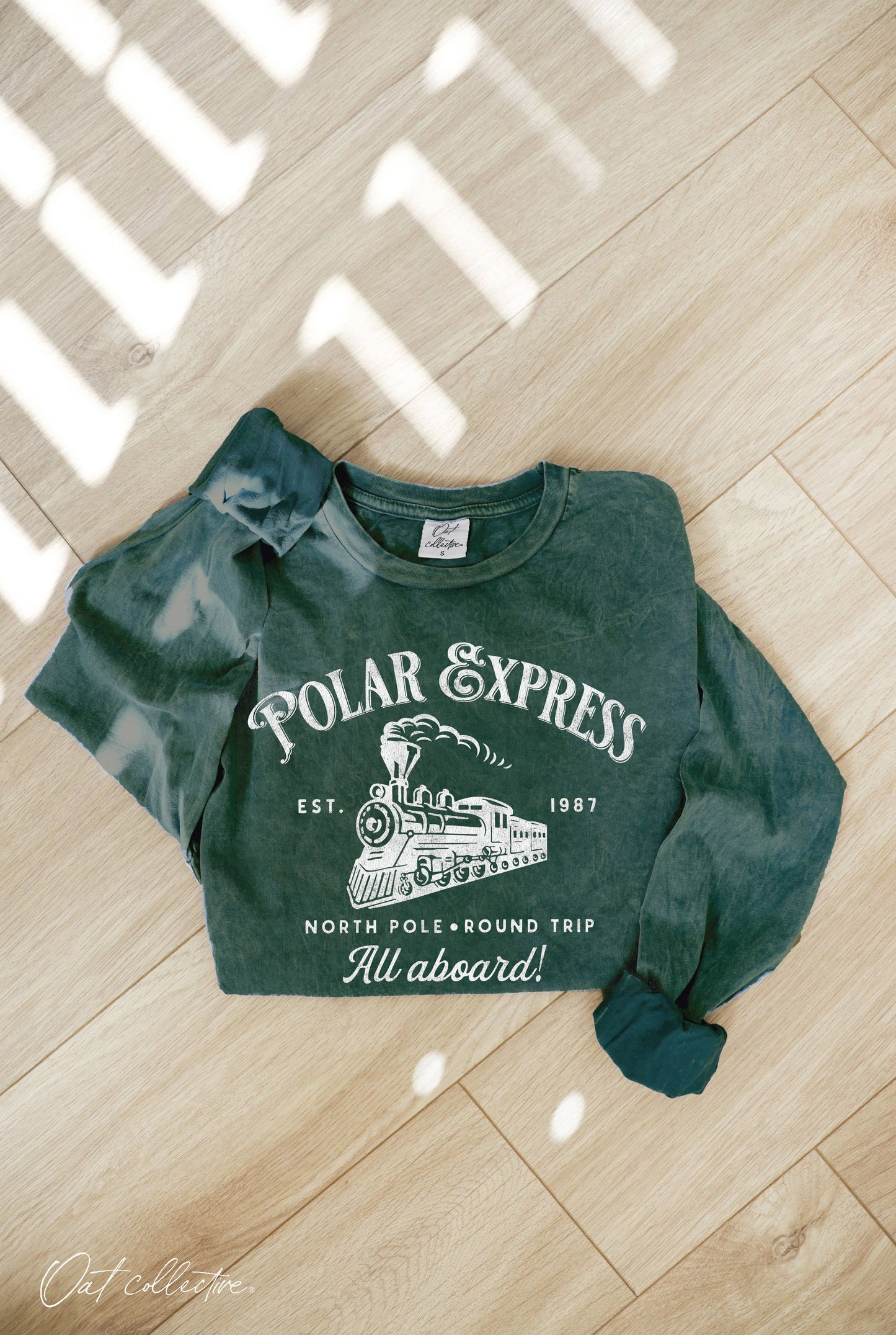 POLAR EXPRESS Mineral Washed Long Sleeve Graphic Top