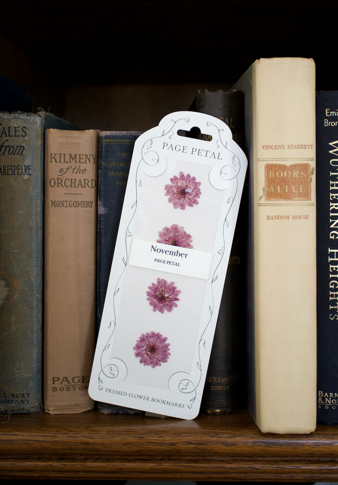 November Chrysanthemum Bookmark | Birth Month Gift