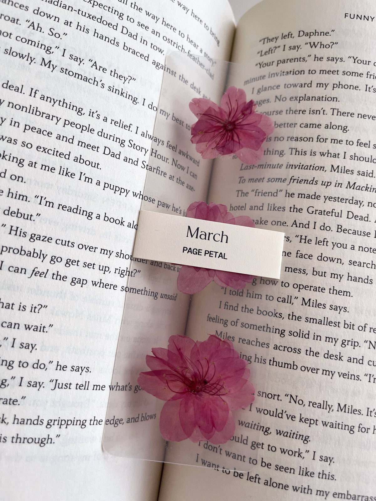 March Cherry Blossom Bookmark | Birth Month Flower