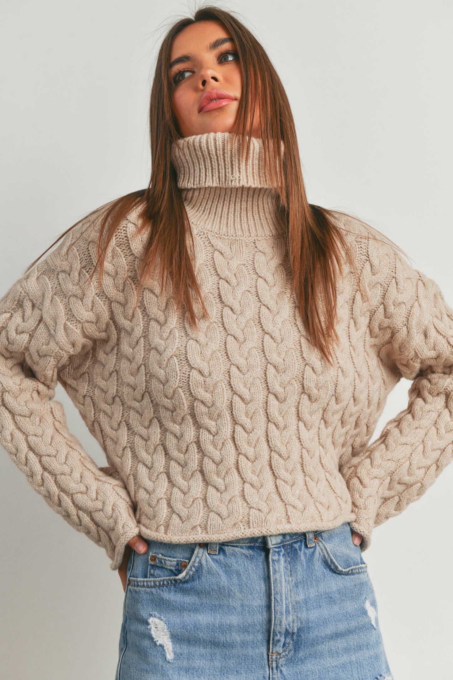 Chunky Cropped Cableknit Turtle Neck Sweater