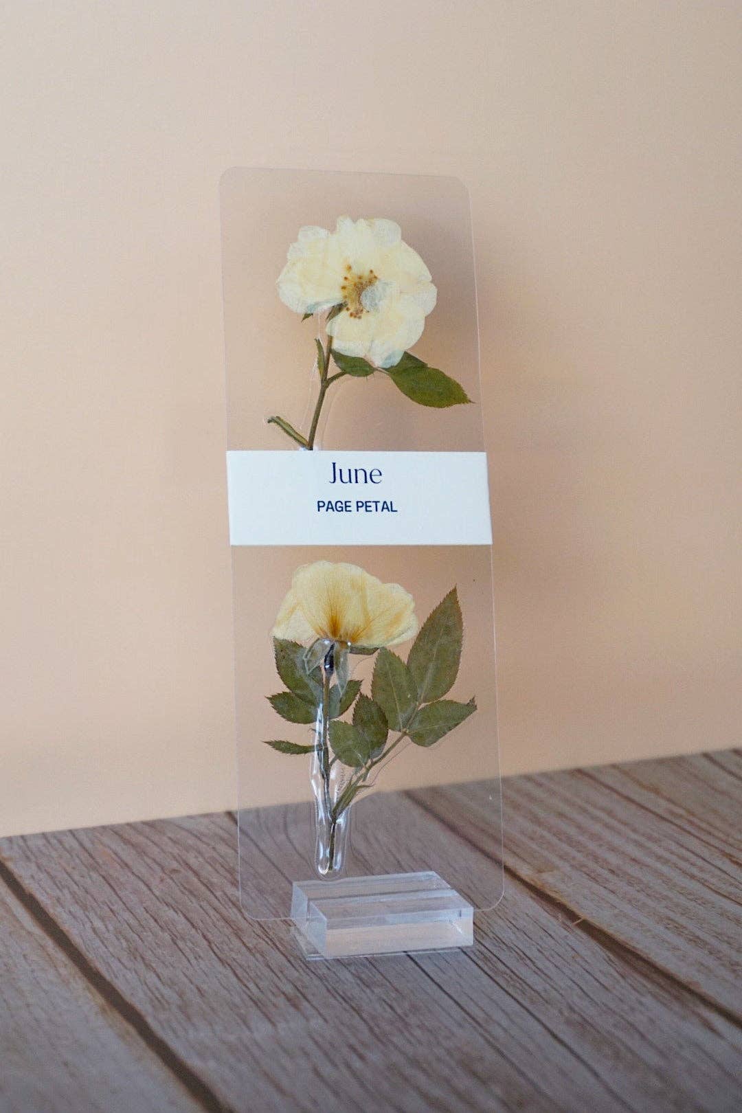 June Rose Bookmark | Birth Month Flower Gift