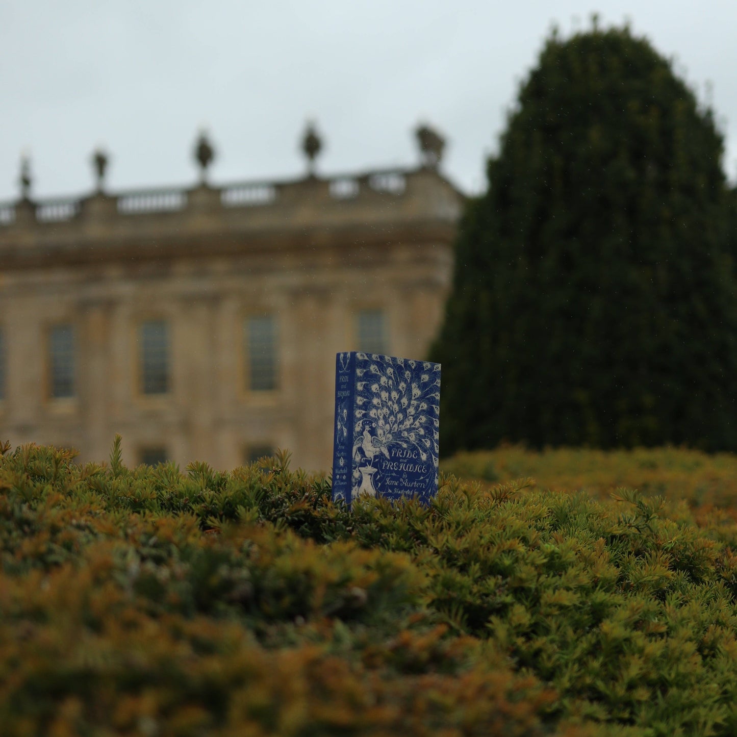 'Pride & Prejudice' (Peacock Edition) by Jane Austen 1813 Passport/Notebook Wallet