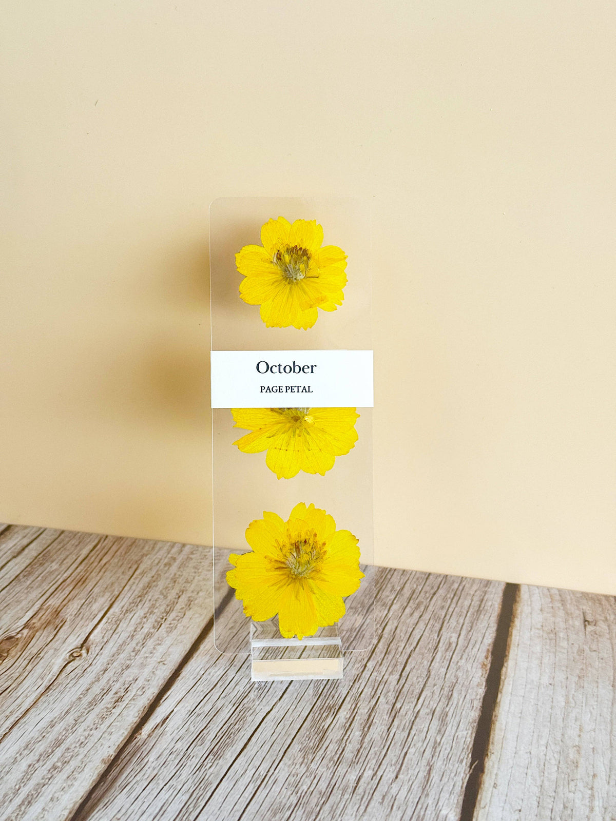October Cosmos Bookmark | Birth Month Flower Gift
