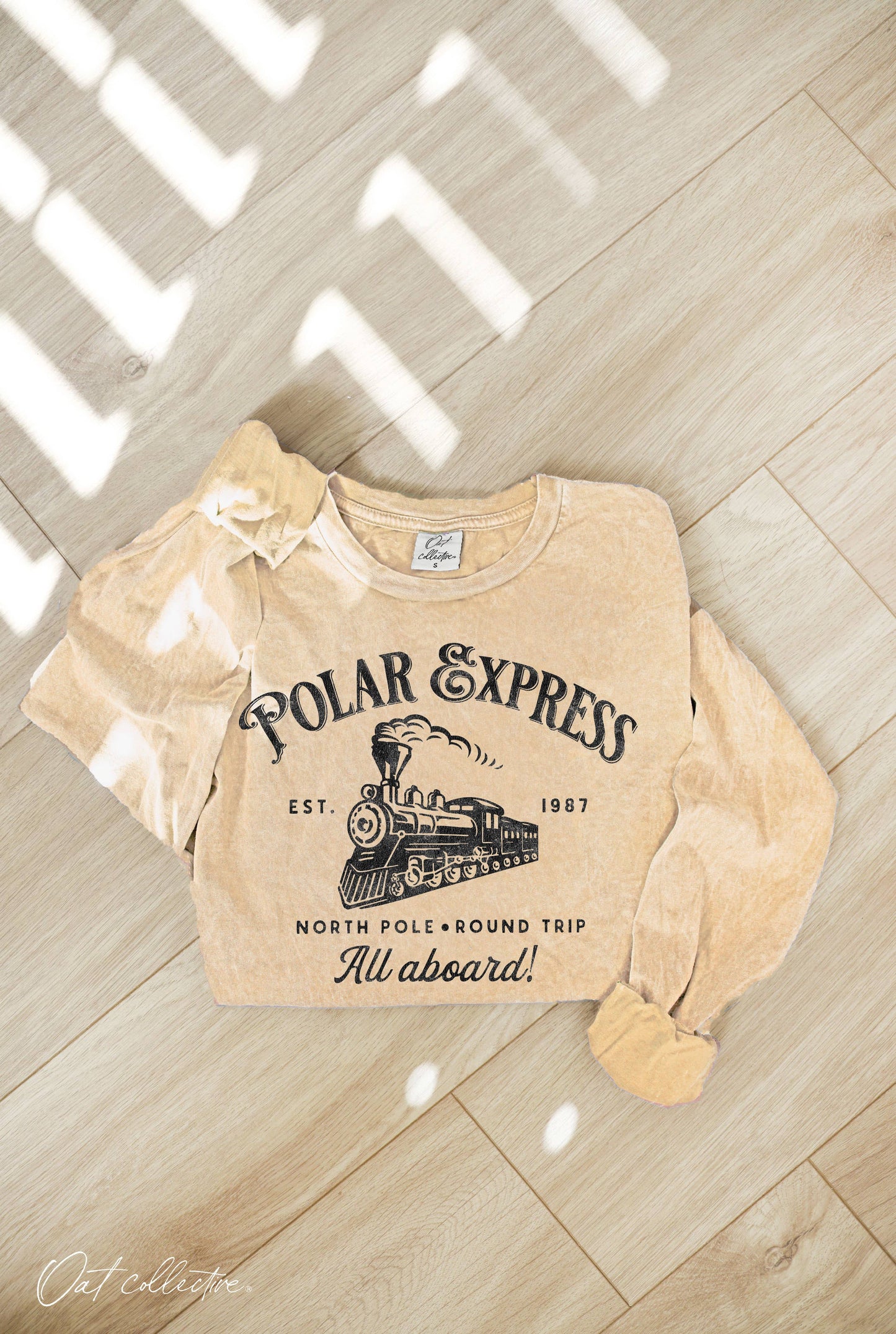 POLAR EXPRESS Mineral Washed Long Sleeve Graphic Top