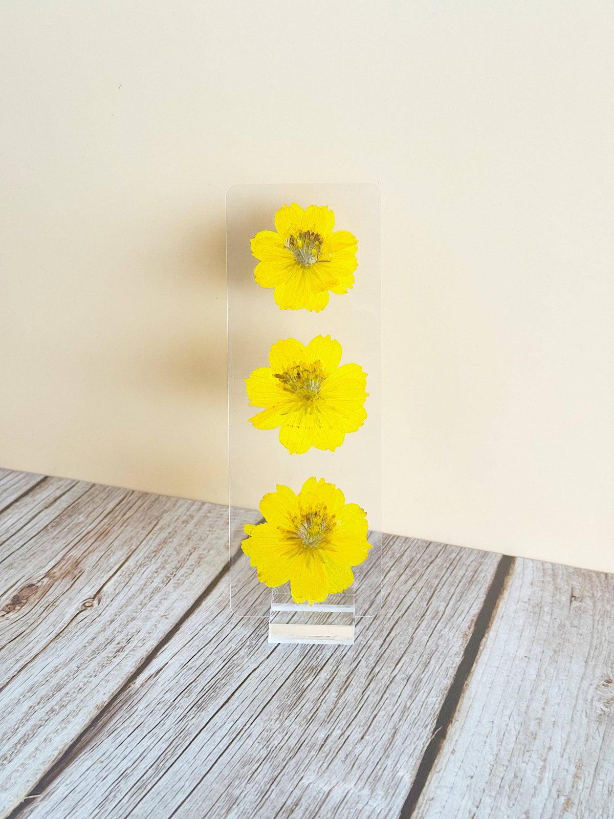 October Cosmos Bookmark | Birth Month Flower Gift