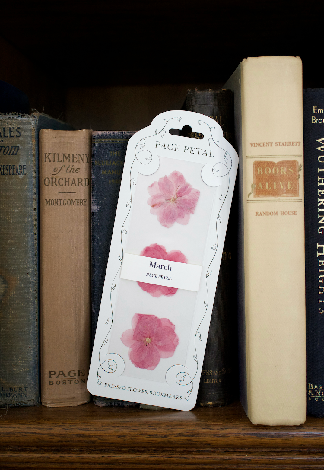 March Cherry Blossom Bookmark | Birth Month Flower