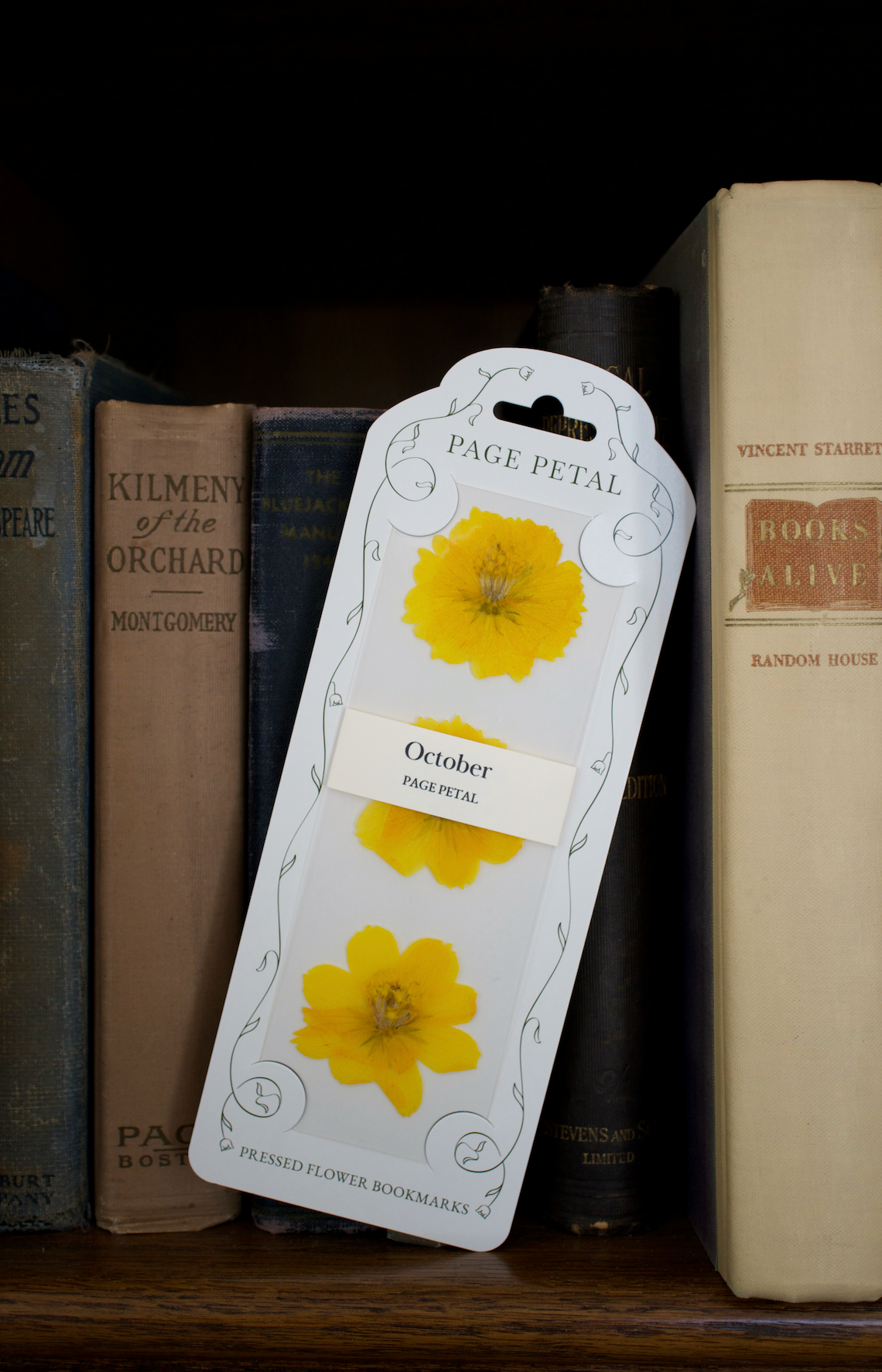 October Cosmos Bookmark | Birth Month Flower Gift
