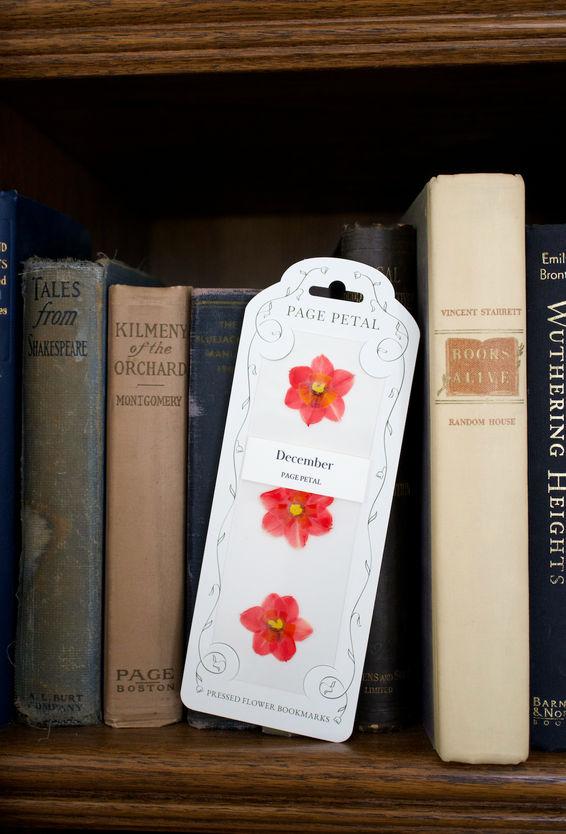 December Narcissus Bookmark | Birth Month Flower Gift