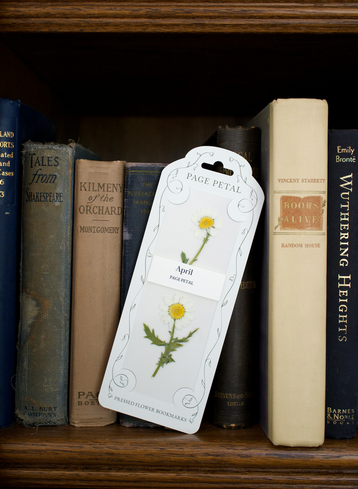 April Daisy Bookmark | Birth Month Flower Gift