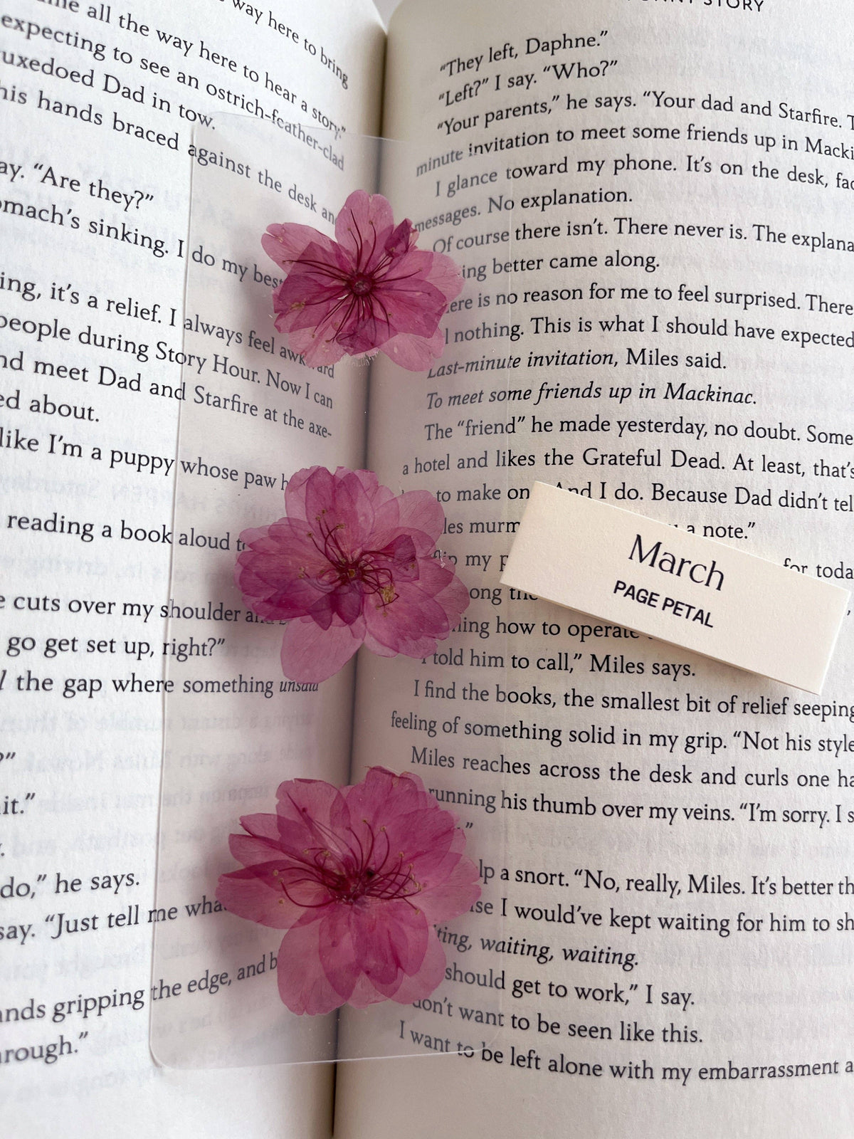 March Cherry Blossom Bookmark | Birth Month Flower