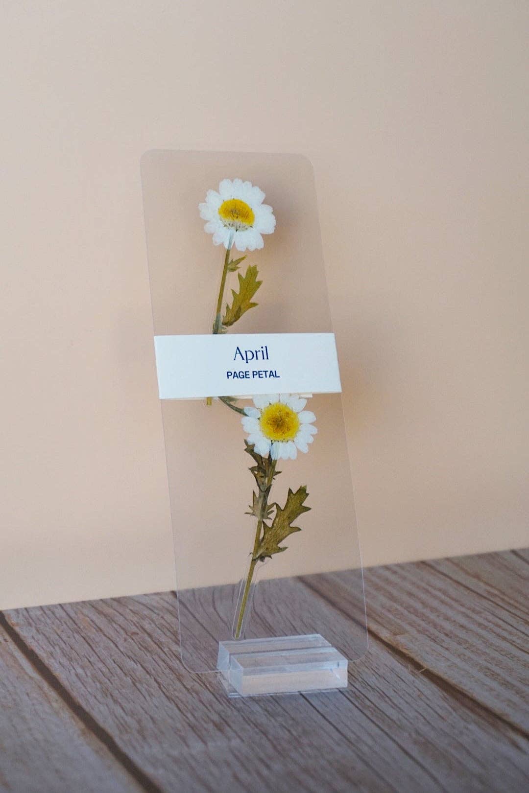April Daisy Bookmark | Birth Month Flower Gift