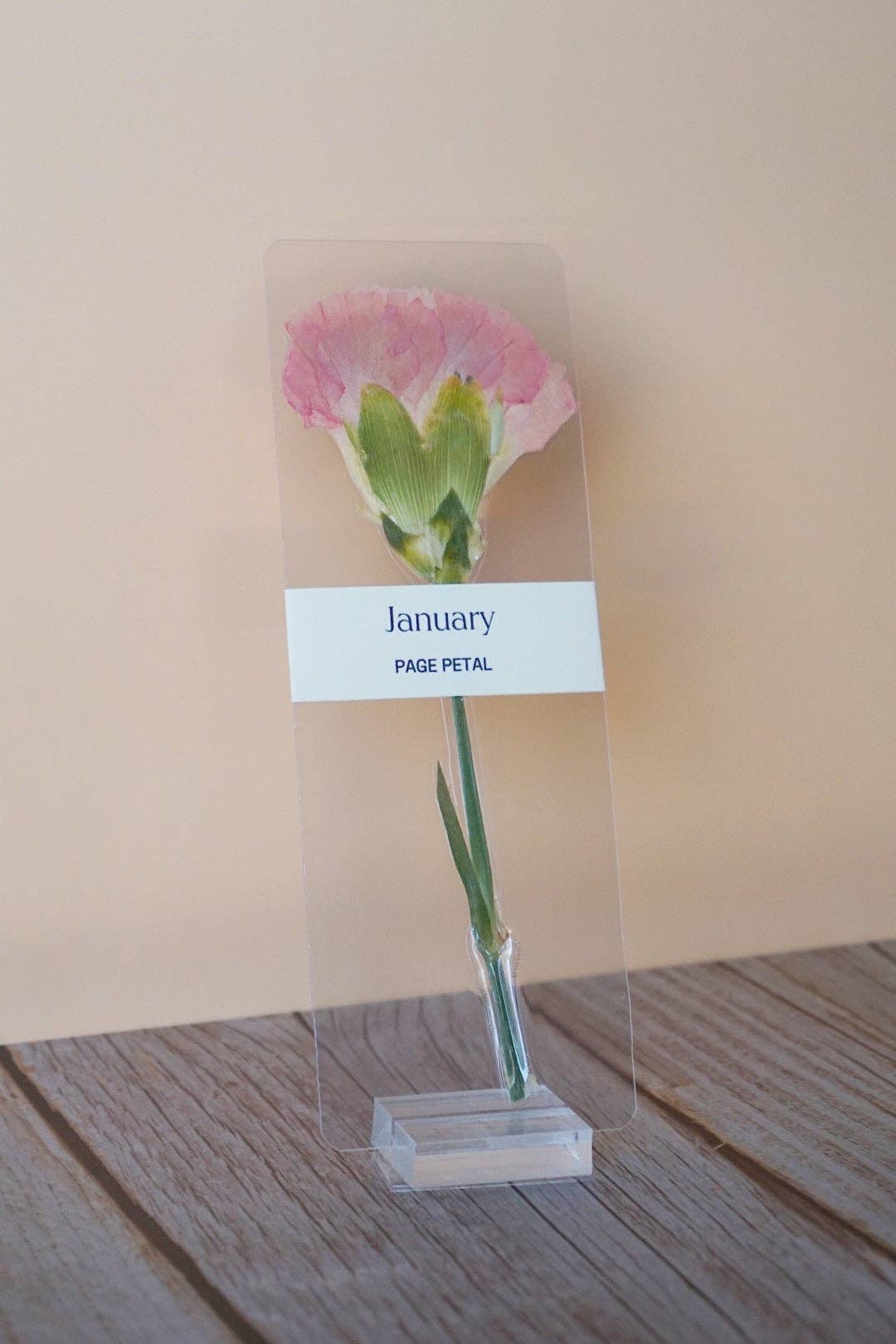 January Carnation Bookmark | Birth Month Flower Gift