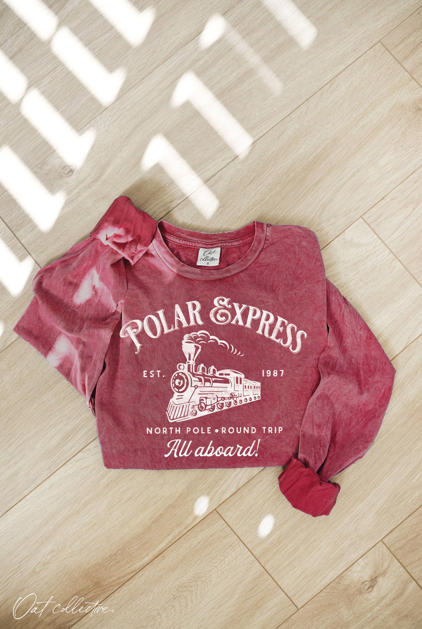 POLAR EXPRESS Mineral Washed Long Sleeve Graphic Top