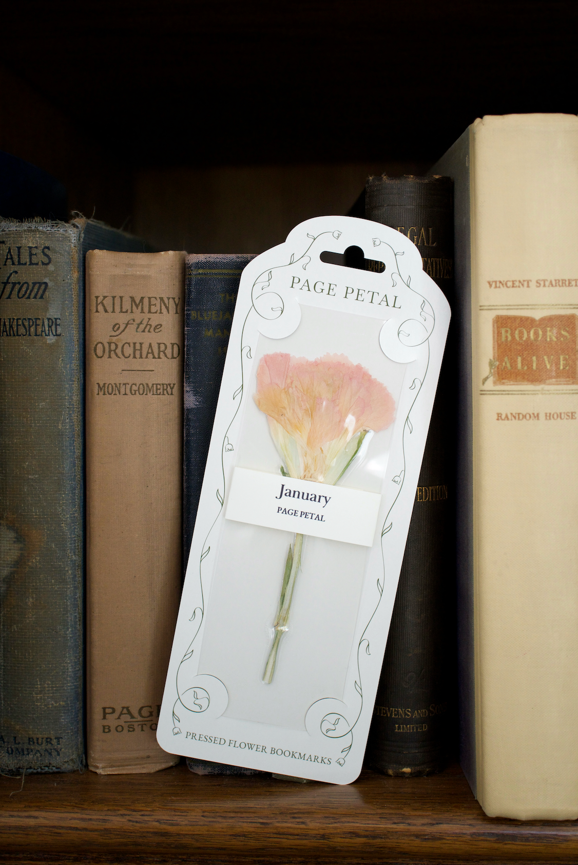 January Carnation Bookmark | Birth Month Flower Gift