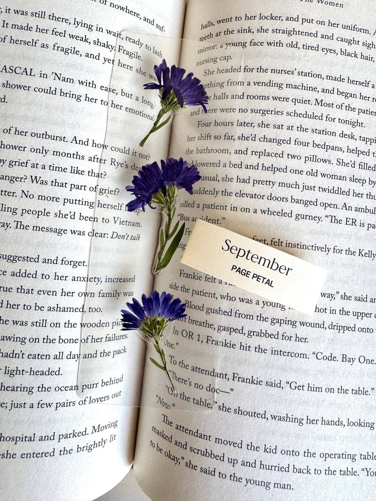 September Aster Bookmark | Birth Month Flower Gift