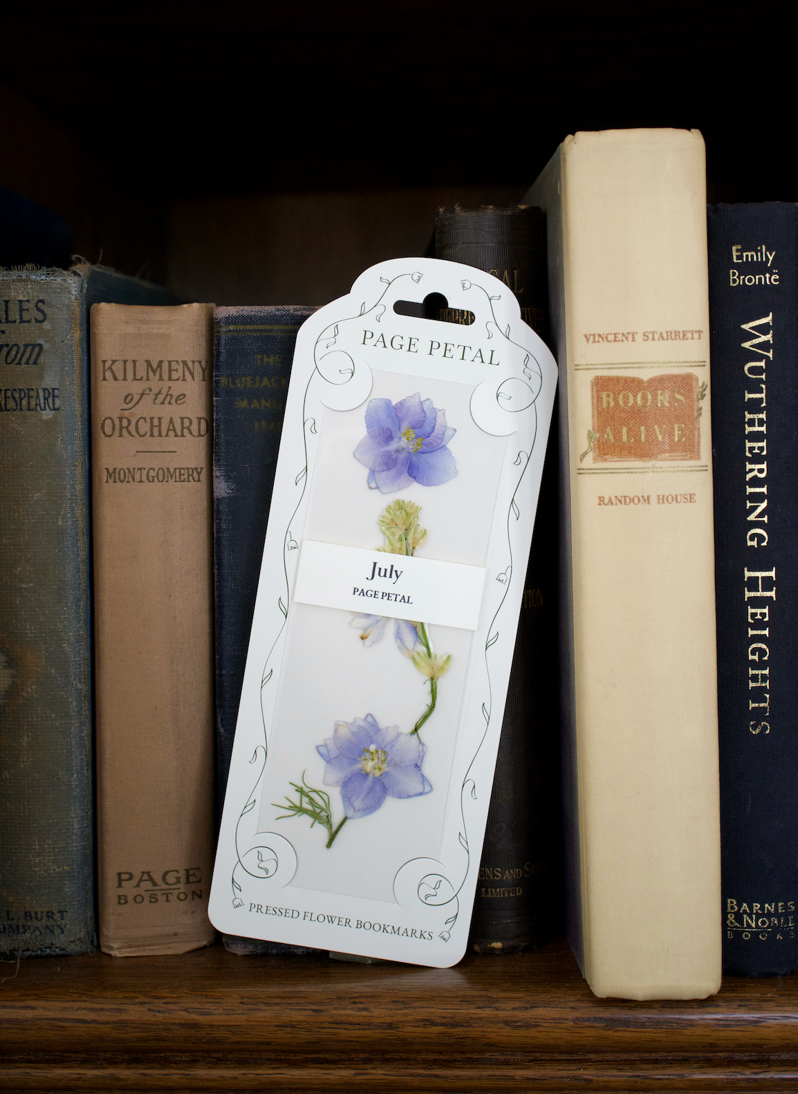 July Larkspur Bookmark | Birth Month Flower Gift