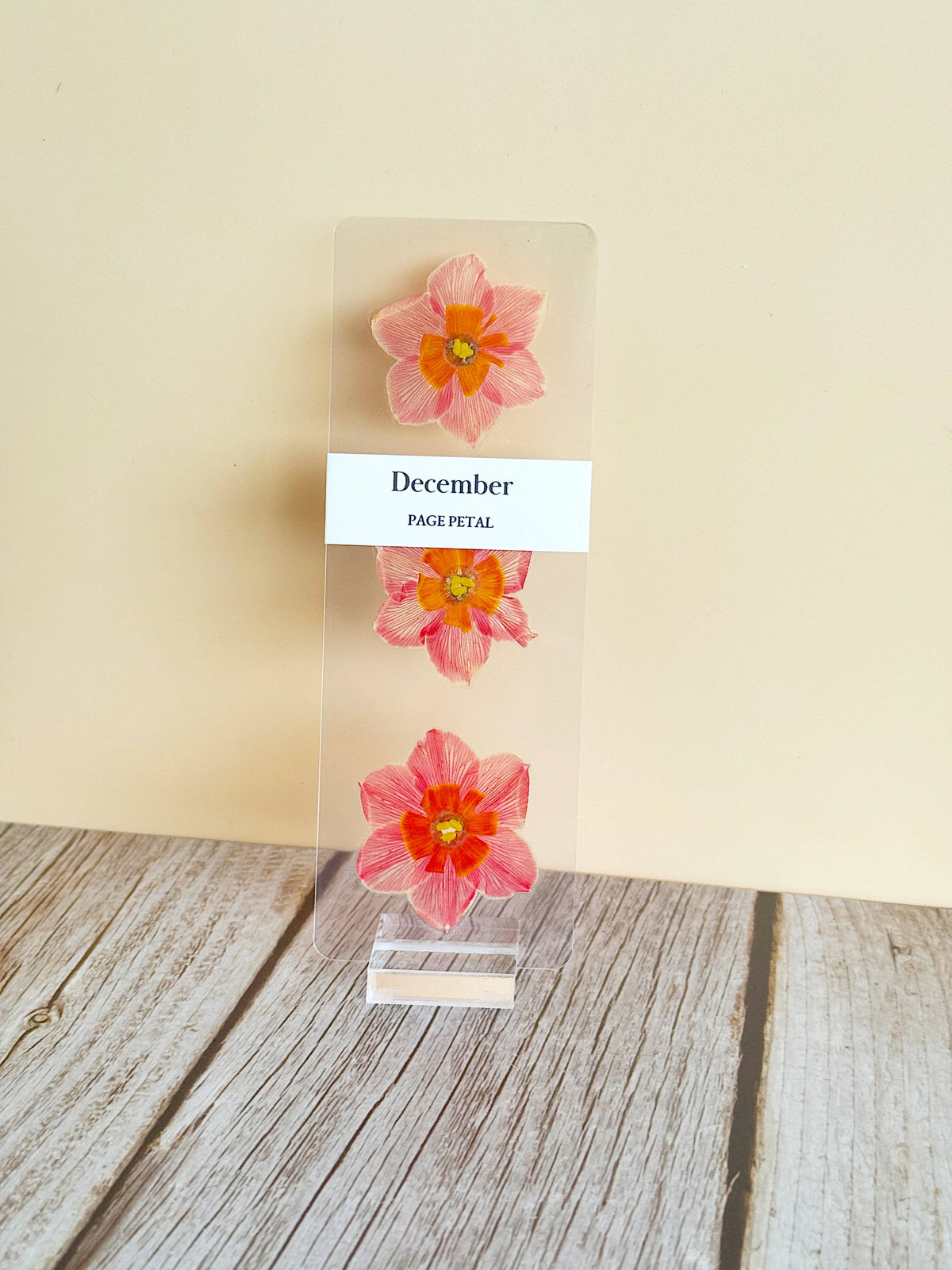 December Narcissus Bookmark | Birth Month Flower Gift