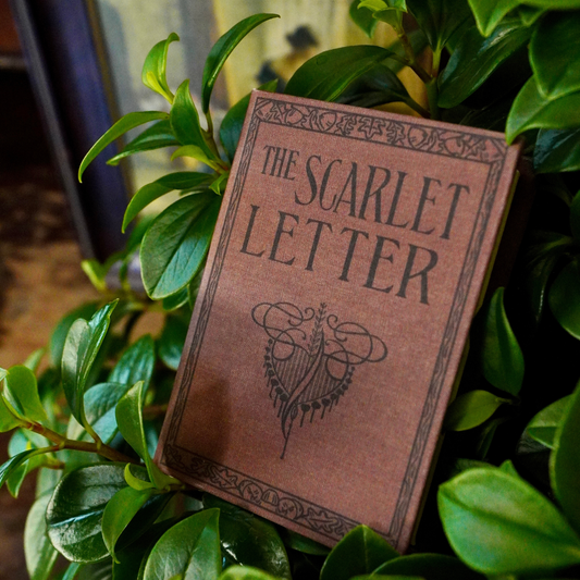 The Scarlet Letter by Nathaniel Hawthorne 1850