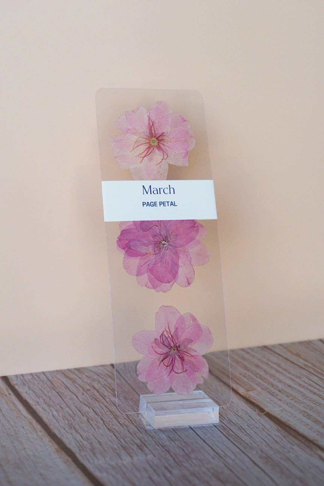 March Cherry Blossom Bookmark | Birth Month Flower
